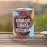 Aromatic Coffee Seeds Grow Tin