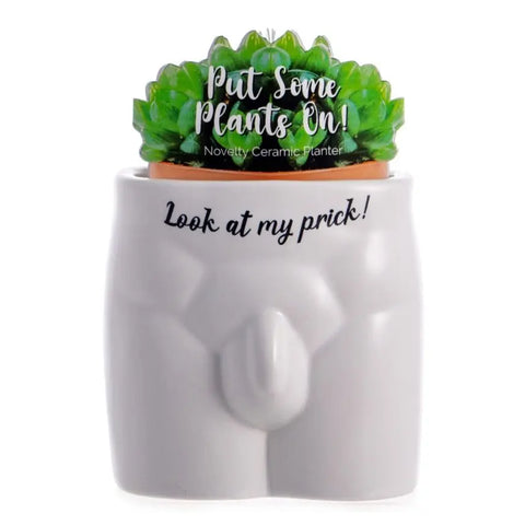 Look At My Prick Plant Pot
