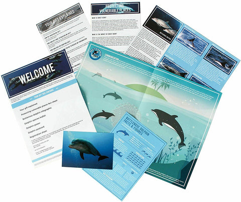 Adopt A Dolphin Gift Box