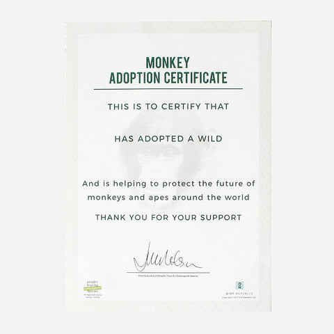 Adopt A Monkey Gift Box