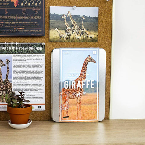 Adopt a Giraffe Gift Box