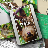 Adopt A Sloth Gift Box