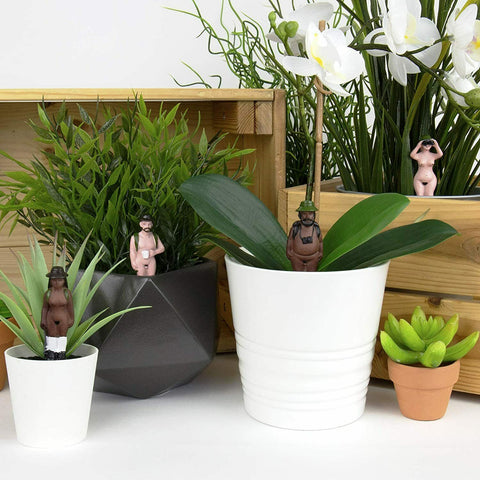 Mini Naked Ramblers Plant Pot Decorations