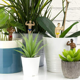 Mini Plant Pot Hunks Figures Gift Set