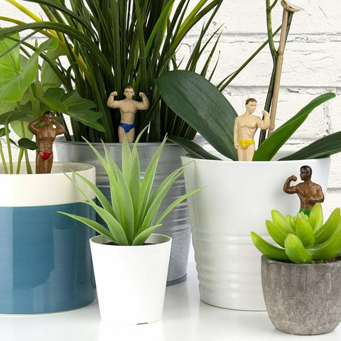 Mini Plant Pot Hunks Figures Gift Set