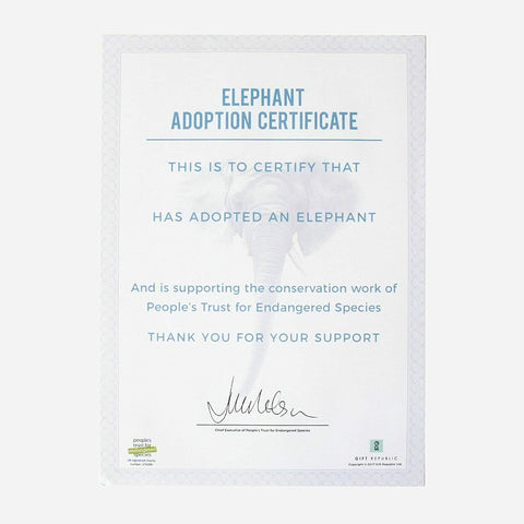 Adopt An Elephant Gift Box