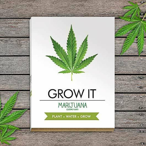 Grow It (Fake) Marijuana Plants Gift Box