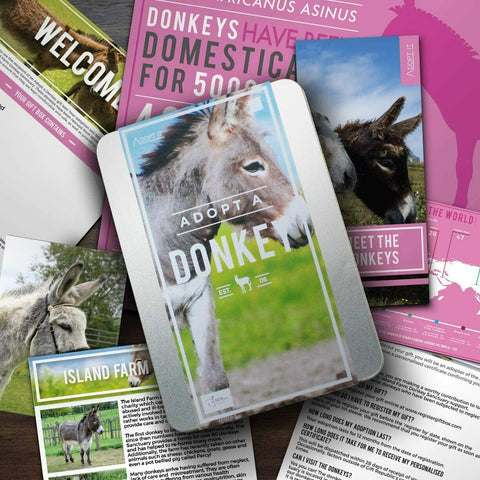 Adopt A Donkey Gift Box