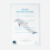 Adopt A Dolphin Gift Box