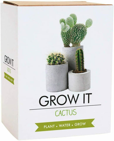 Grow It Cactus Plants Gift Box