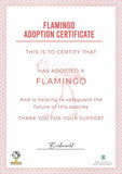Adopt A Flamingo Gift Box