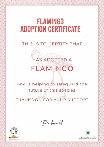 Adopt A Flamingo Gift Box