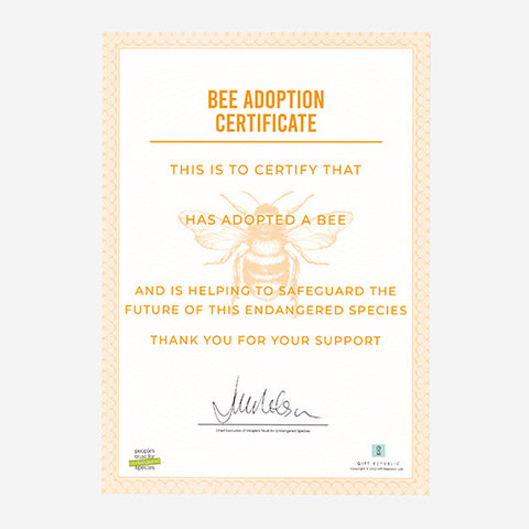 Adopt A Bee Gift Box