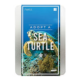 Adopt A Sea Turtle Gift Box