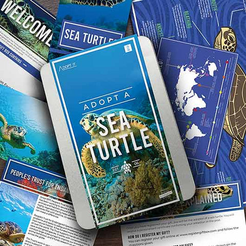 Adopt A Sea Turtle Gift Box