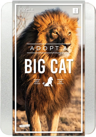 Adopt A Big Cat Gift Box