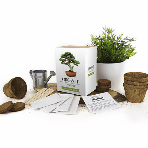 Grow It Bonsai Trees Gift Box
