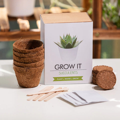Grow It Succulent Plants Gift Box